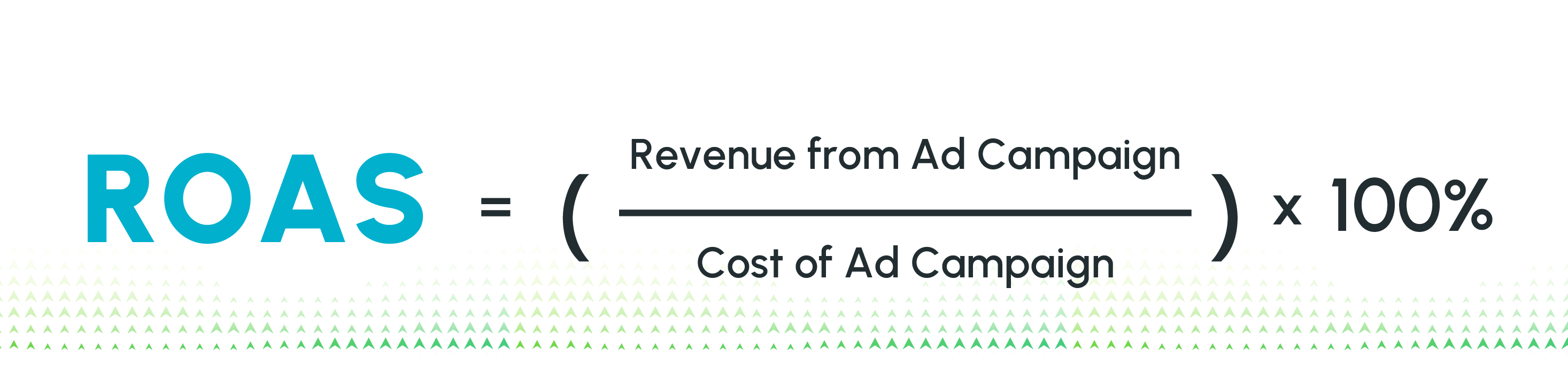 ROAS Revenue from Ad Campaign Formula
