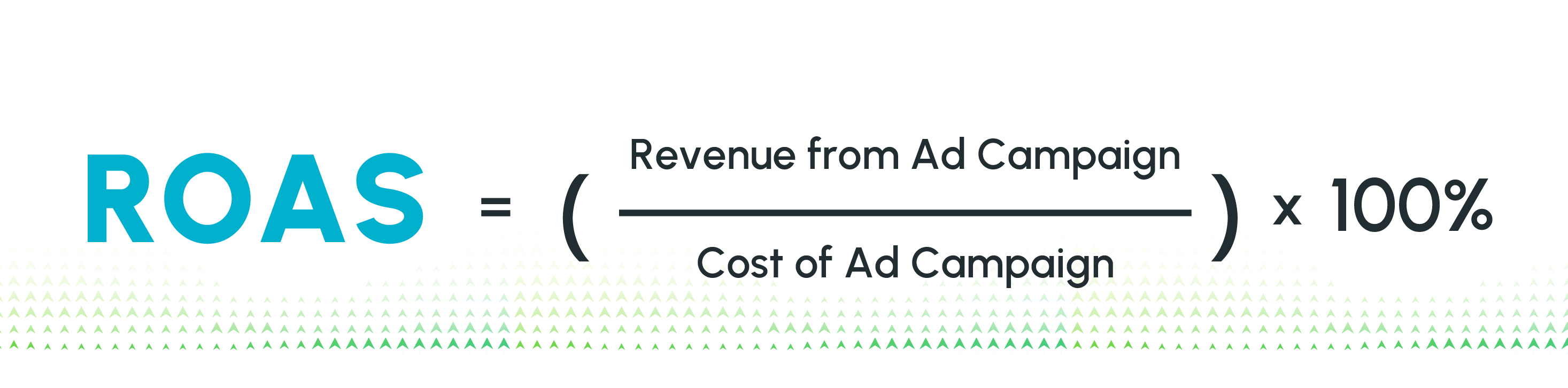 ROAS Revenue from Ad Campaign Formula